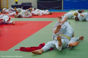 20160331 Bild 10 - Annalinnea Ottosson